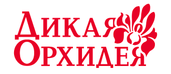 Дикая орхидея